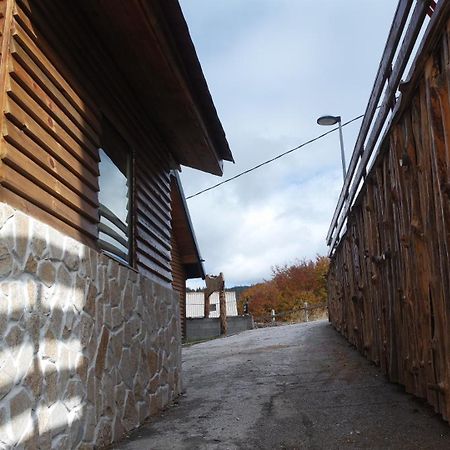 Villa Zagorka And Mountain Houses A, M, D Kopaonik Bagian luar foto