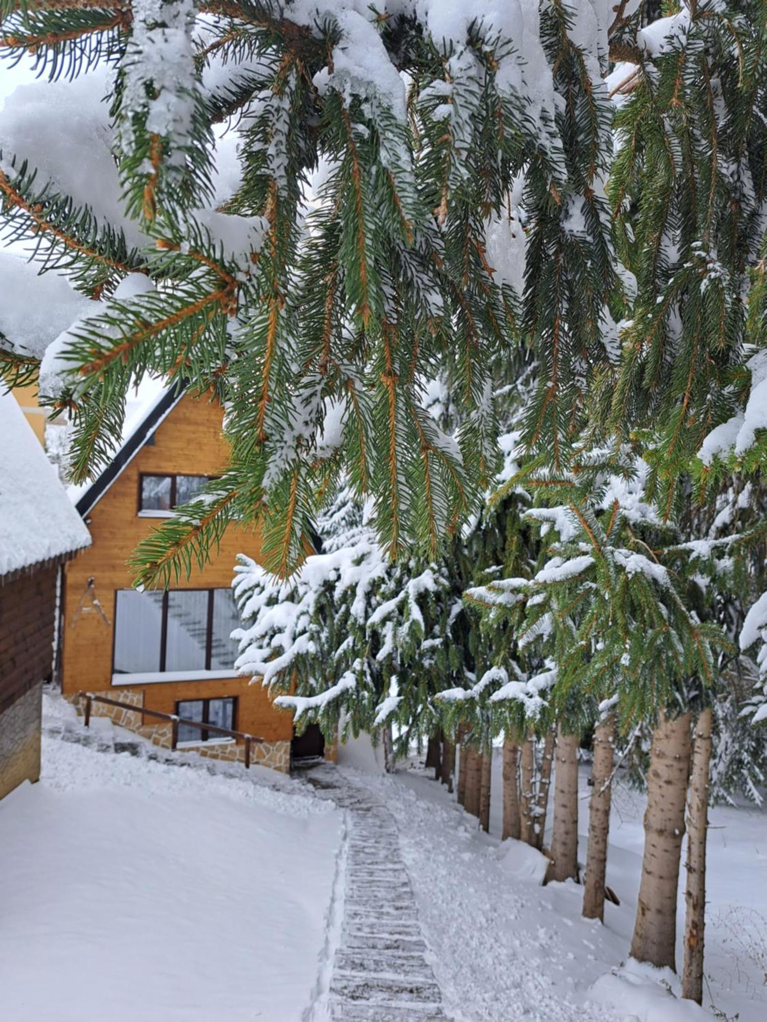 Villa Zagorka And Mountain Houses A, M, D Kopaonik Bagian luar foto