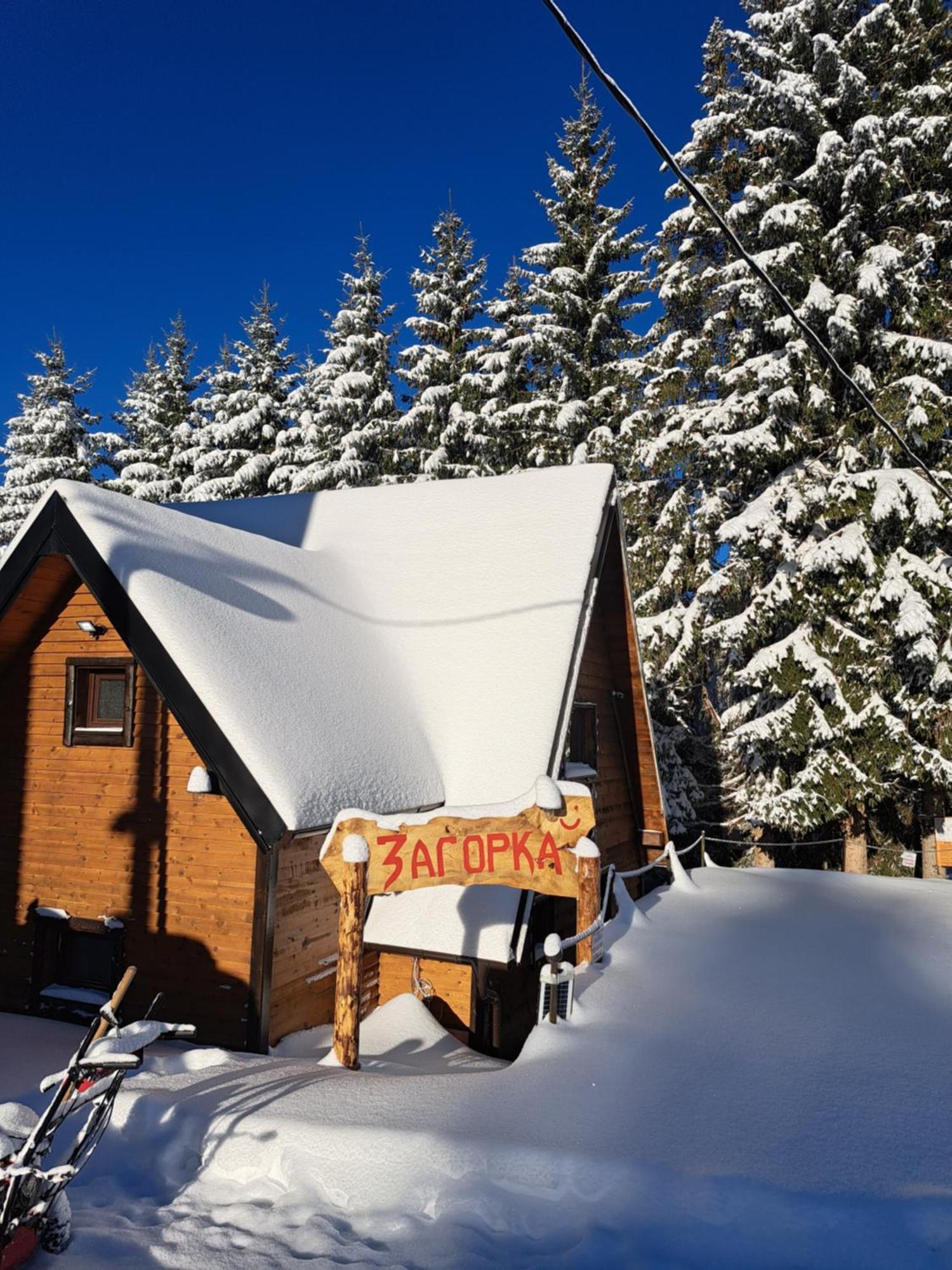 Villa Zagorka And Mountain Houses A, M, D Kopaonik Bagian luar foto